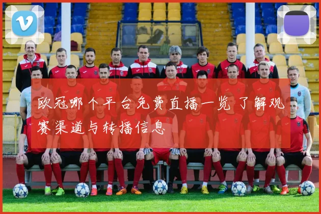 欧冠哪个平台免费直播一览 了解观赛渠道与转播信息