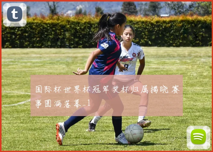 国际杯世界杯冠军奖杯归属揭晓 赛事圆满落幕_1