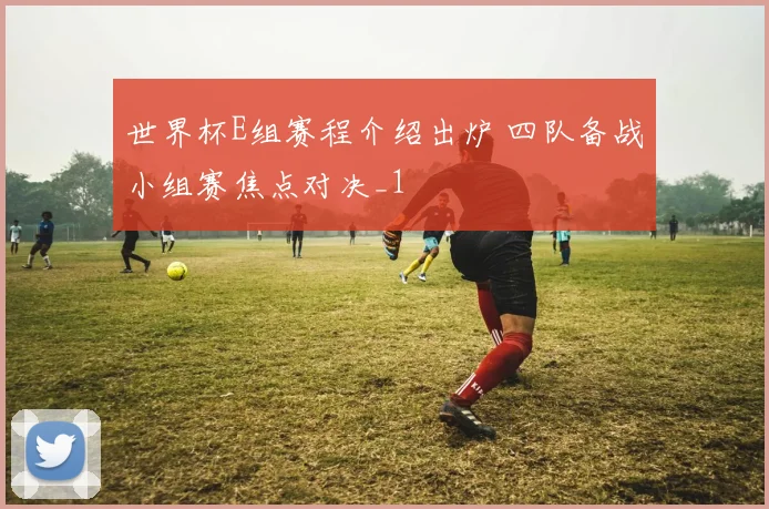 世界杯E组赛程介绍出炉 四队备战小组赛焦点对决_1