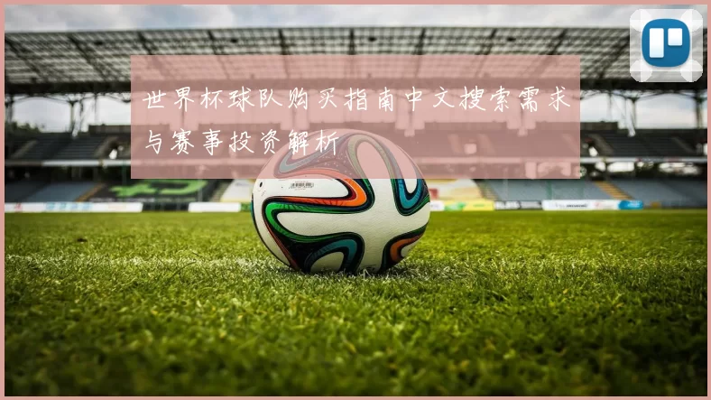 世界杯球队购买指南中文搜索需求与赛事投资解析