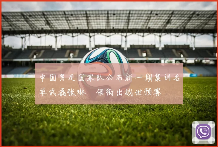 中国男足国家队公布新一期集训名单武磊张琳芃领衔出战世预赛